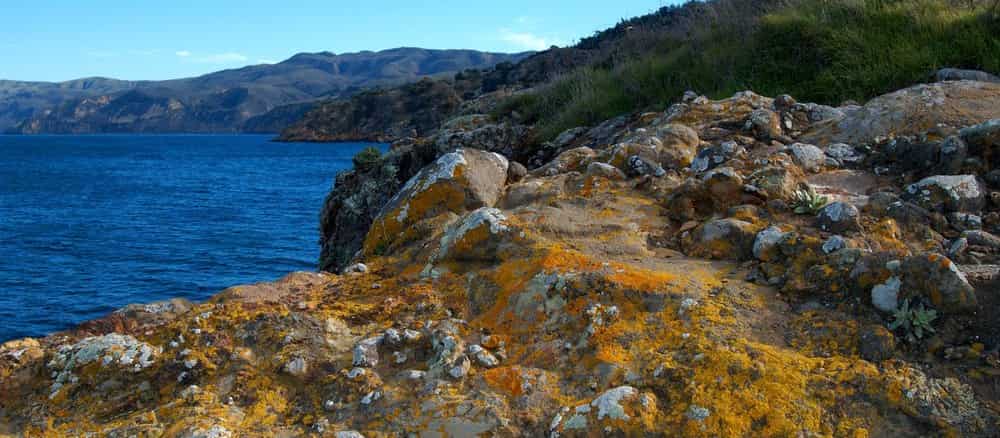 Santa Cruz Island Cruise Port