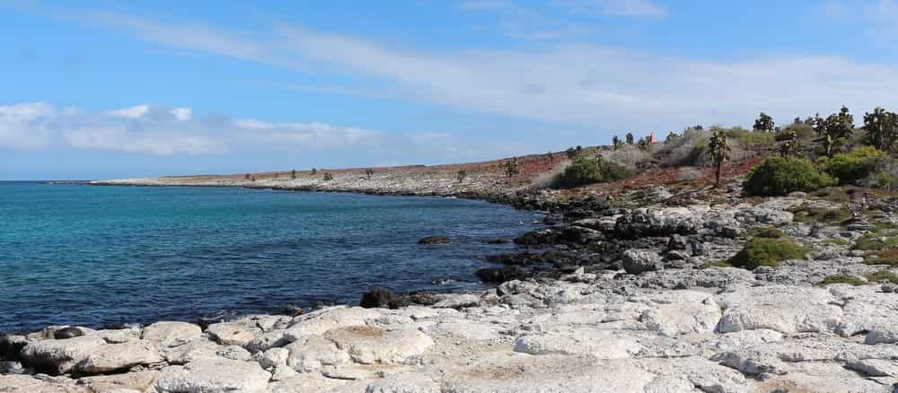 South Plaza Island Cruise Port