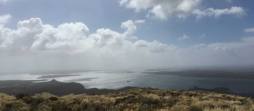 Auckland Island NZ Cruise Port