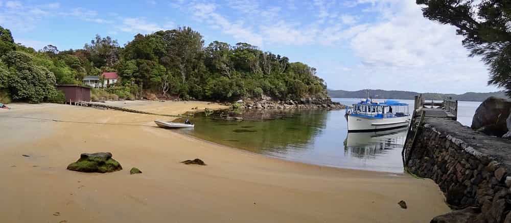 Ulva Island NZ Cruise Port