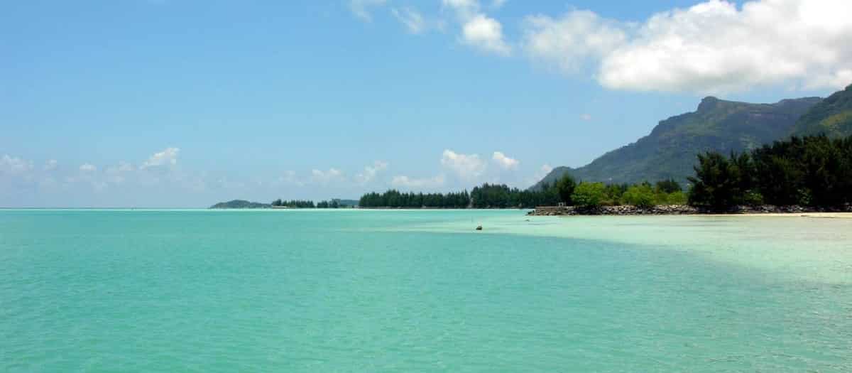 tropical coastline ocean view