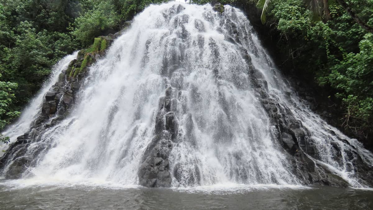 waterfall jungle rocks