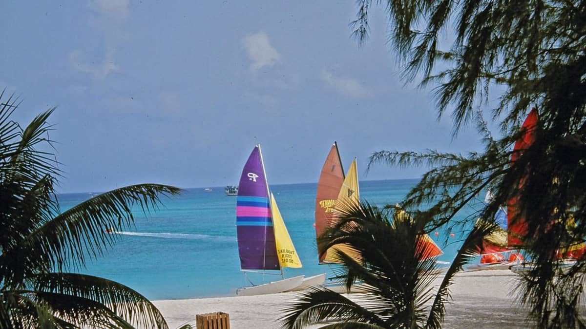 Grand Cayman Cruise Port Guide: Tendering, Beaches & Tips