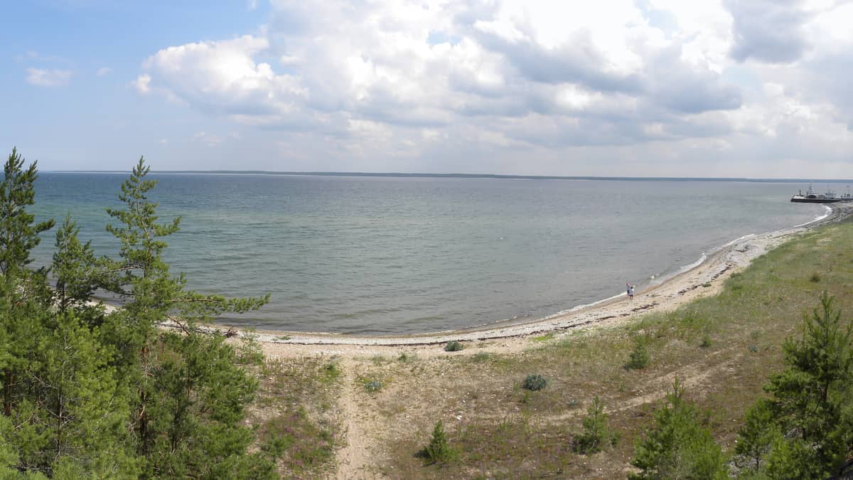 coastline sea trees harbor
