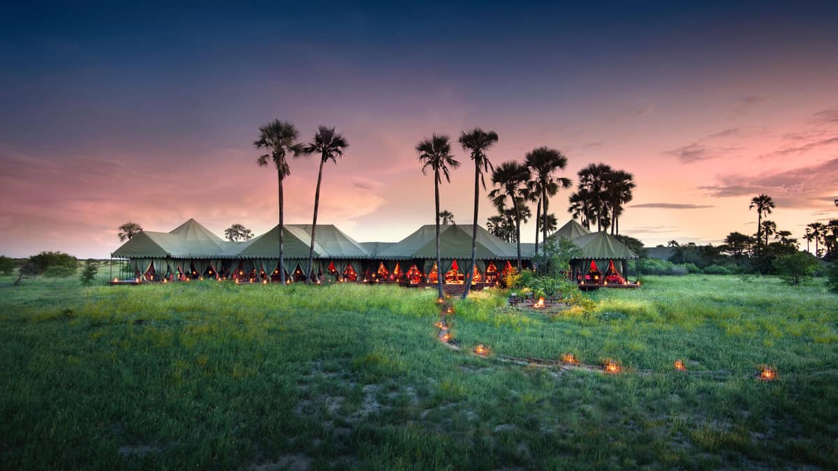Natural Selection – Jack’s Camp, Botswana — Natural Selection – Jack’s Camp