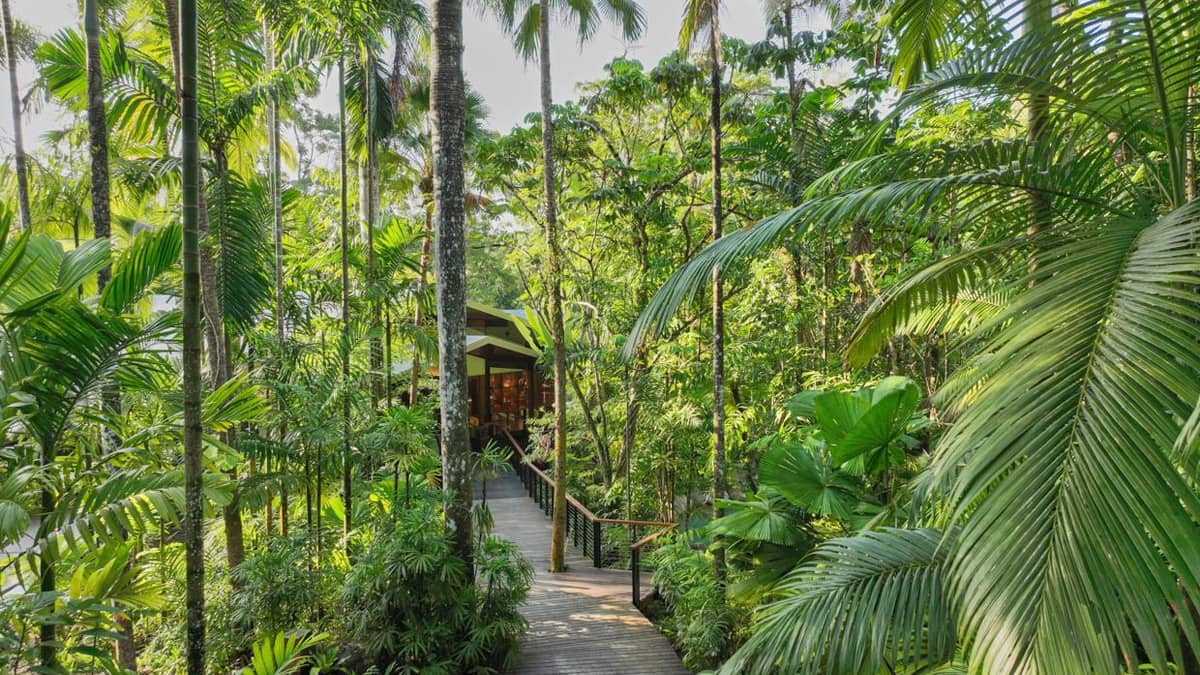 Silky Oaks Lodge, Australia — Silky Oaks Lodge