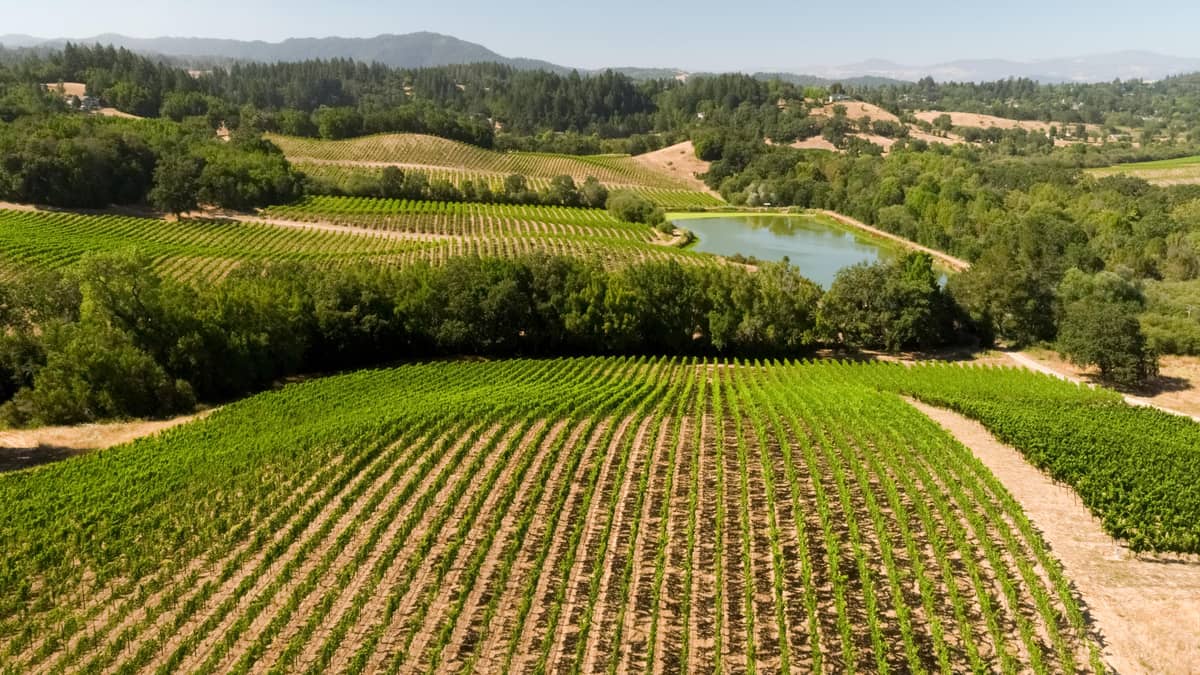 Farmhouse Inn and Restaurant, United States — Farmhouse Inn and Restaurant - Neighborhood Vineyards