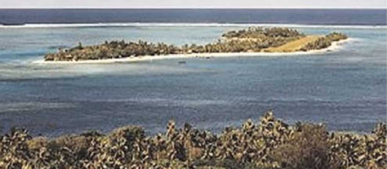 island coastline ocean vegetation