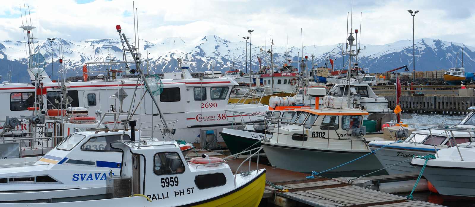 harbor boats mountains
