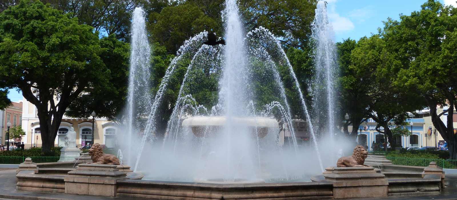 fountain plaza trees lions