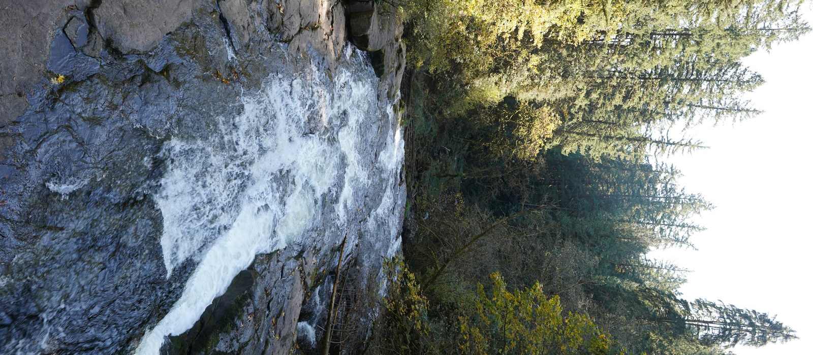 waterfall forest rocks