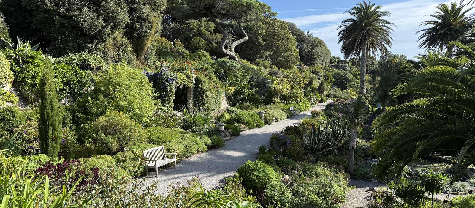 garden path lush greenery bench