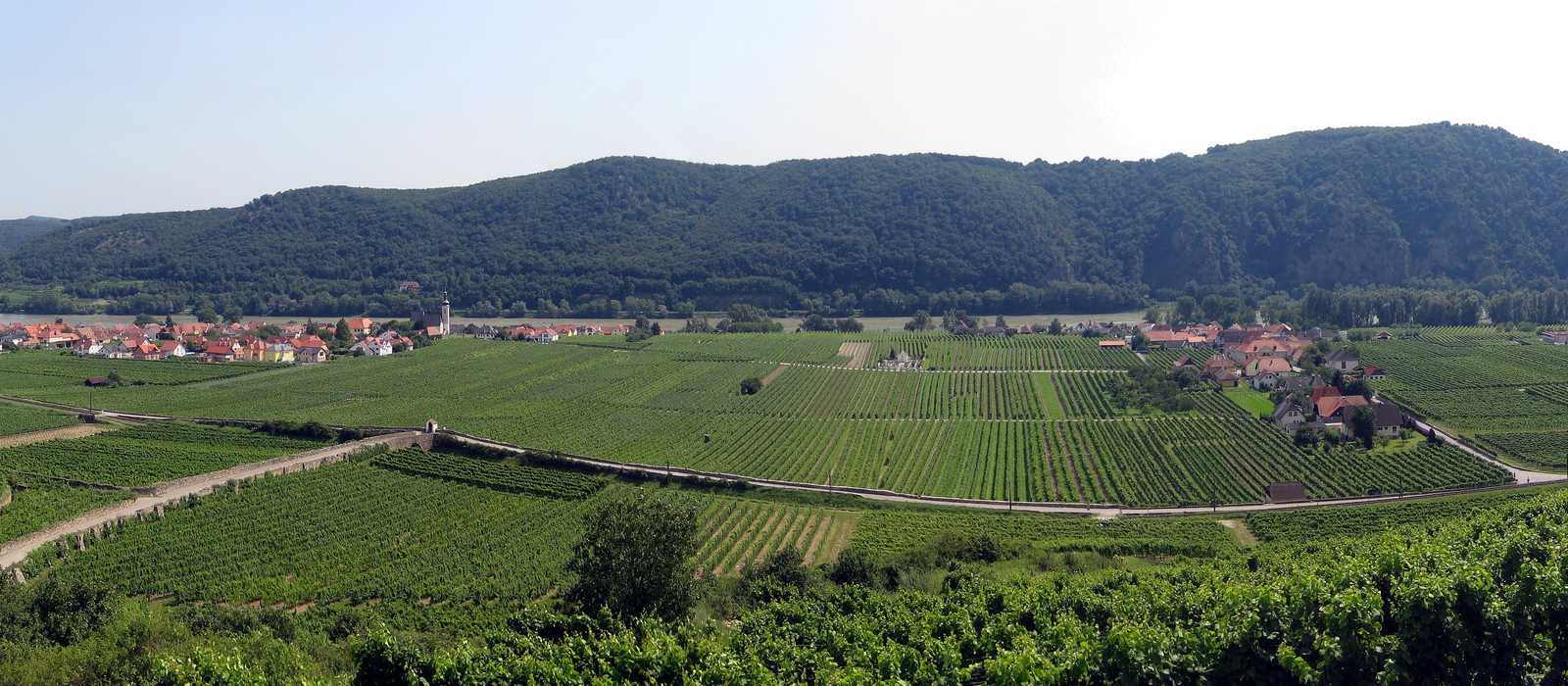 vineyard landscape village river hills