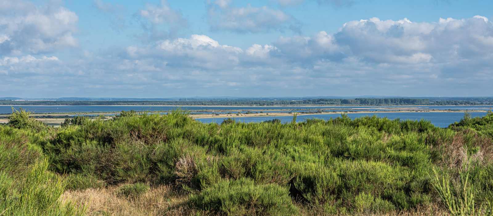 coastal landscape water vegetation sky