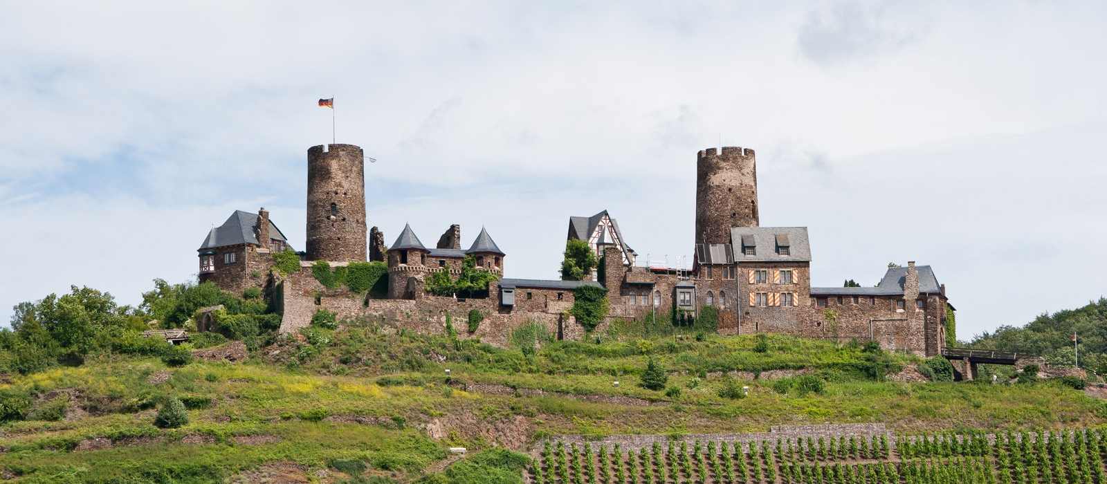 castle on hill with vineyard