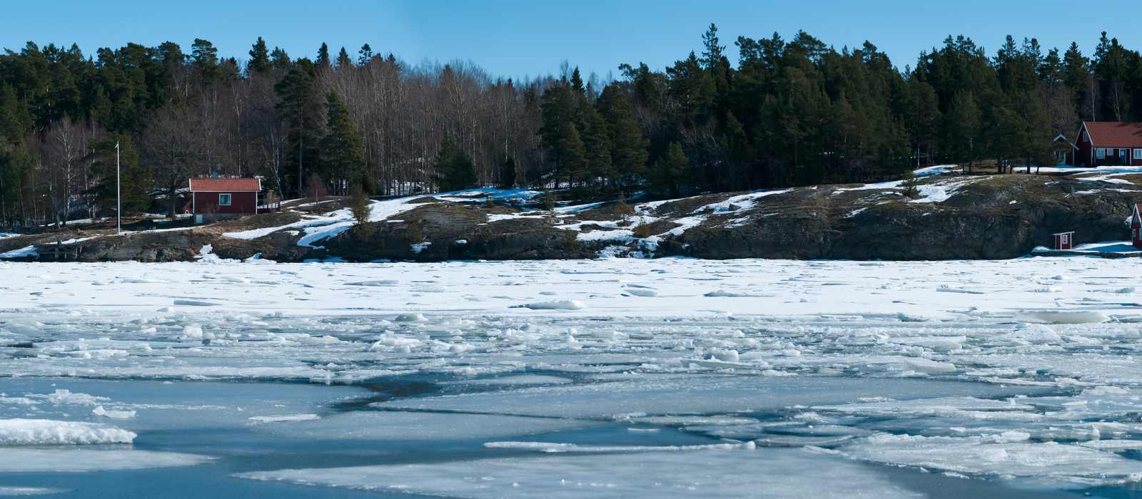 frozen coastline forest cabins
