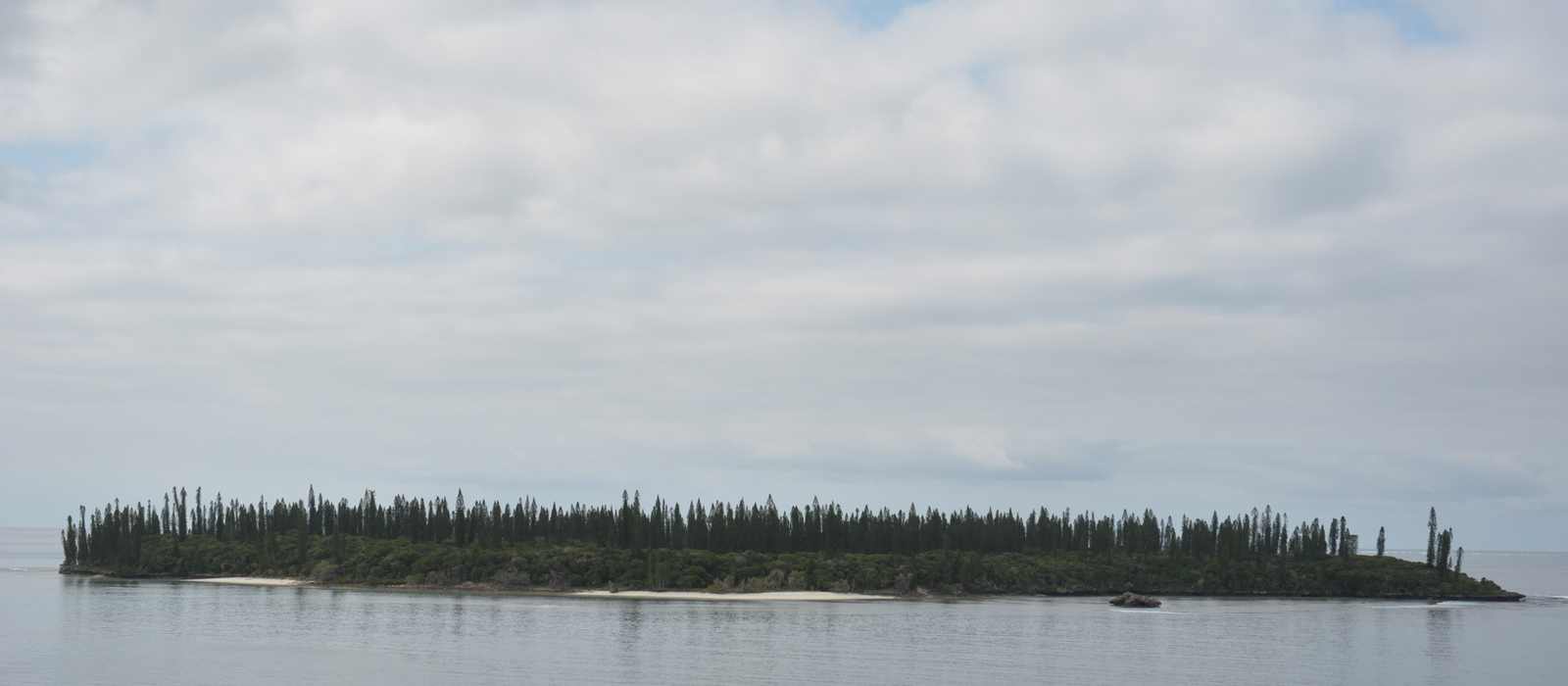 island coastline trees water