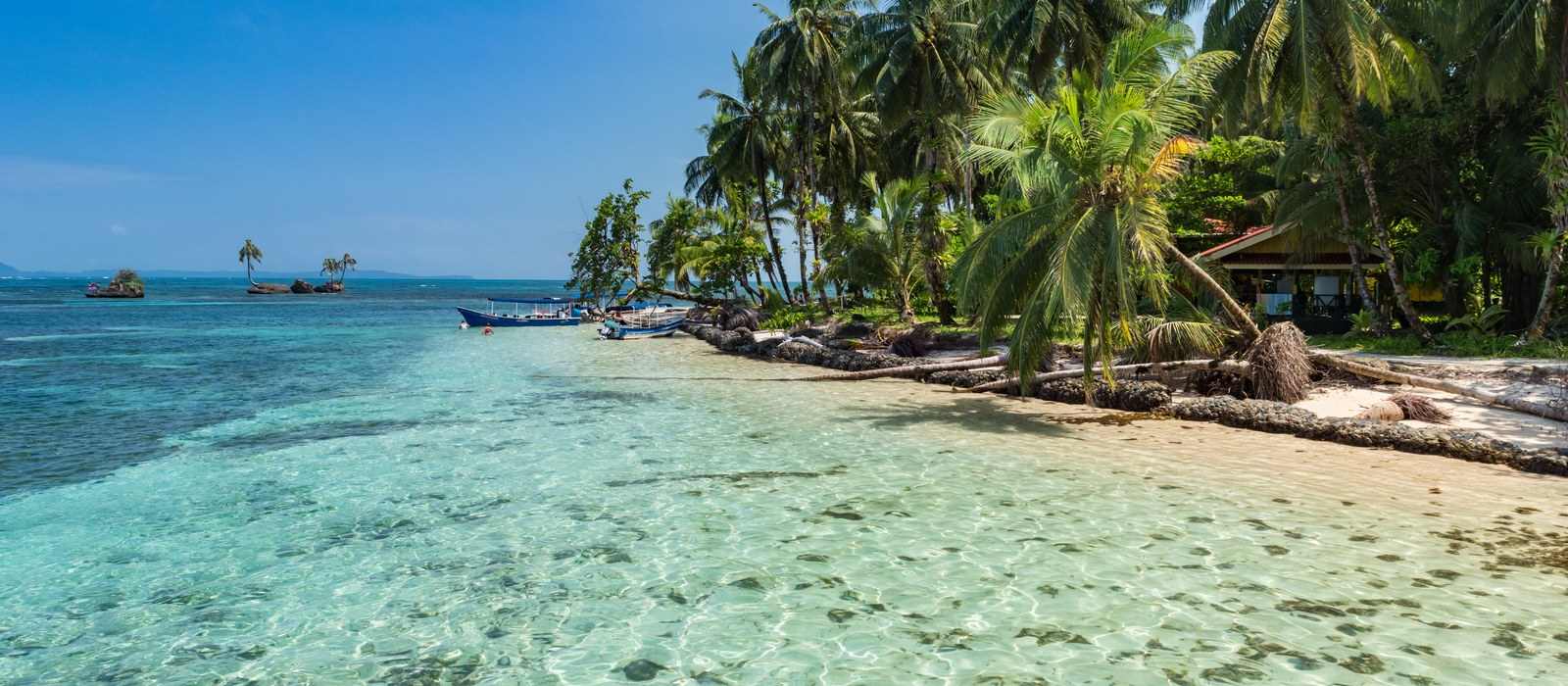 tropical island beach clear water palm trees