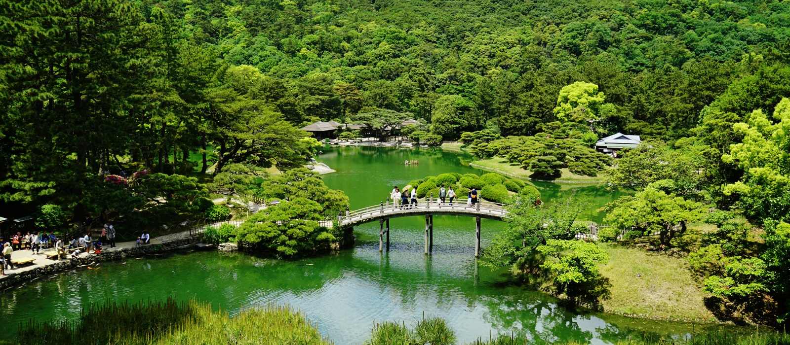 japanese garden lake bridge landscape