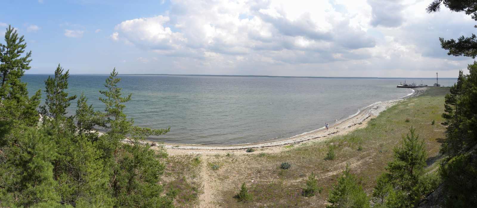 coastline sea trees harbor