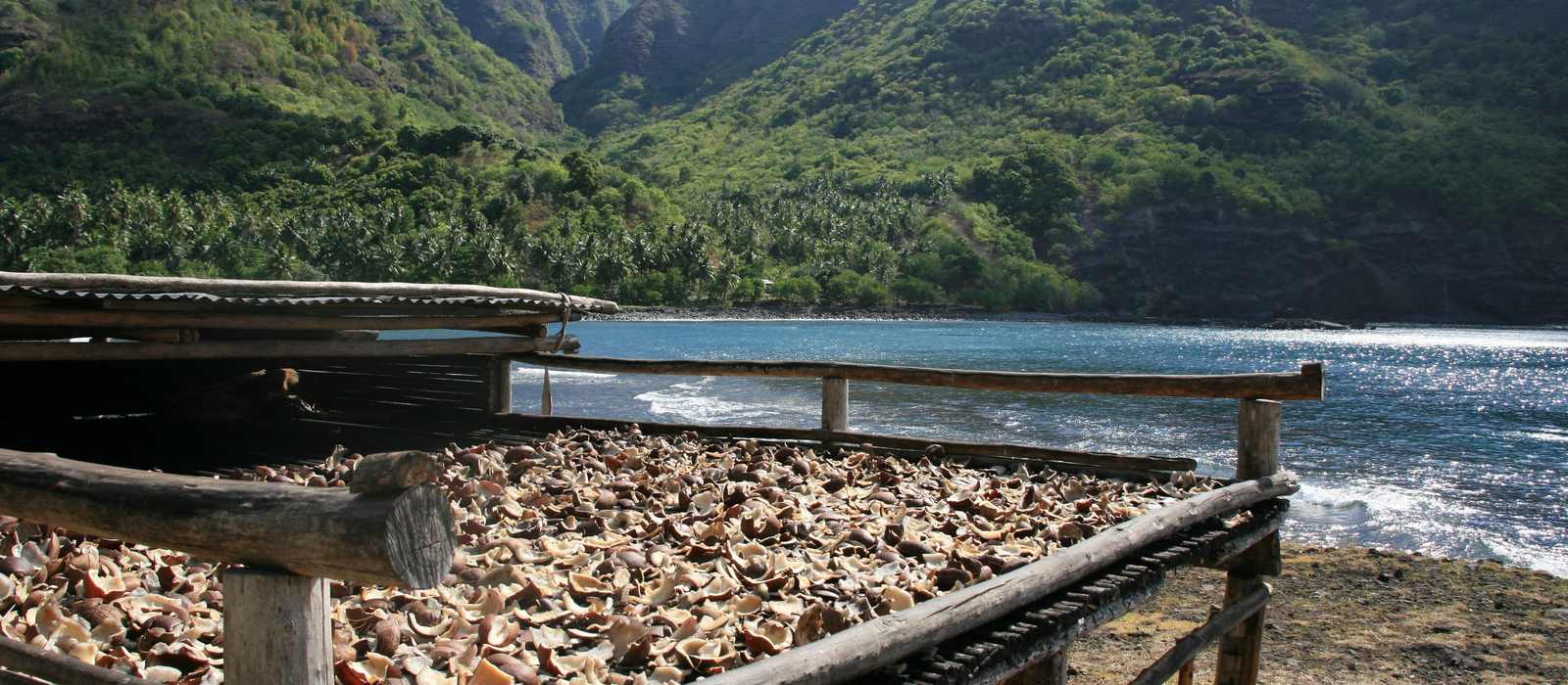 coastal view drying coconuts mountains