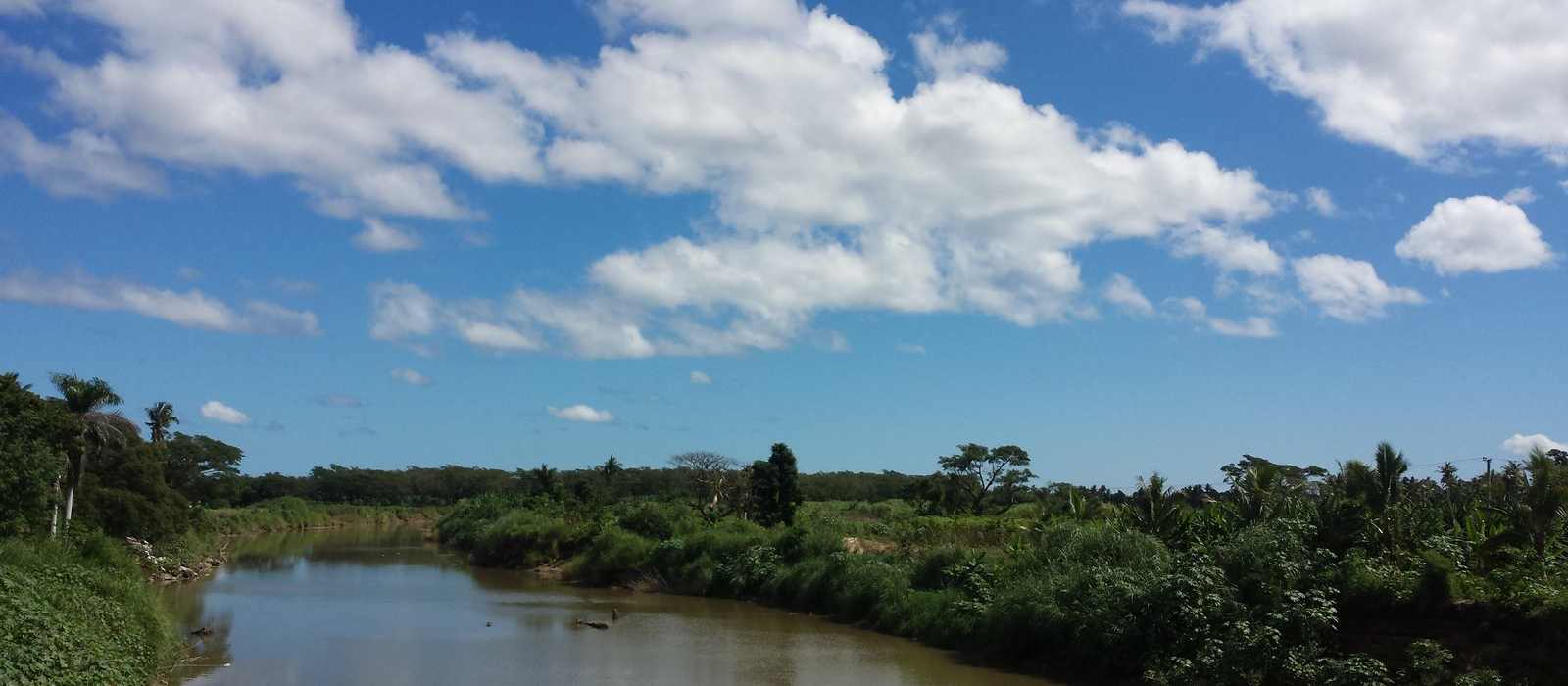 river landscape vegetation sky