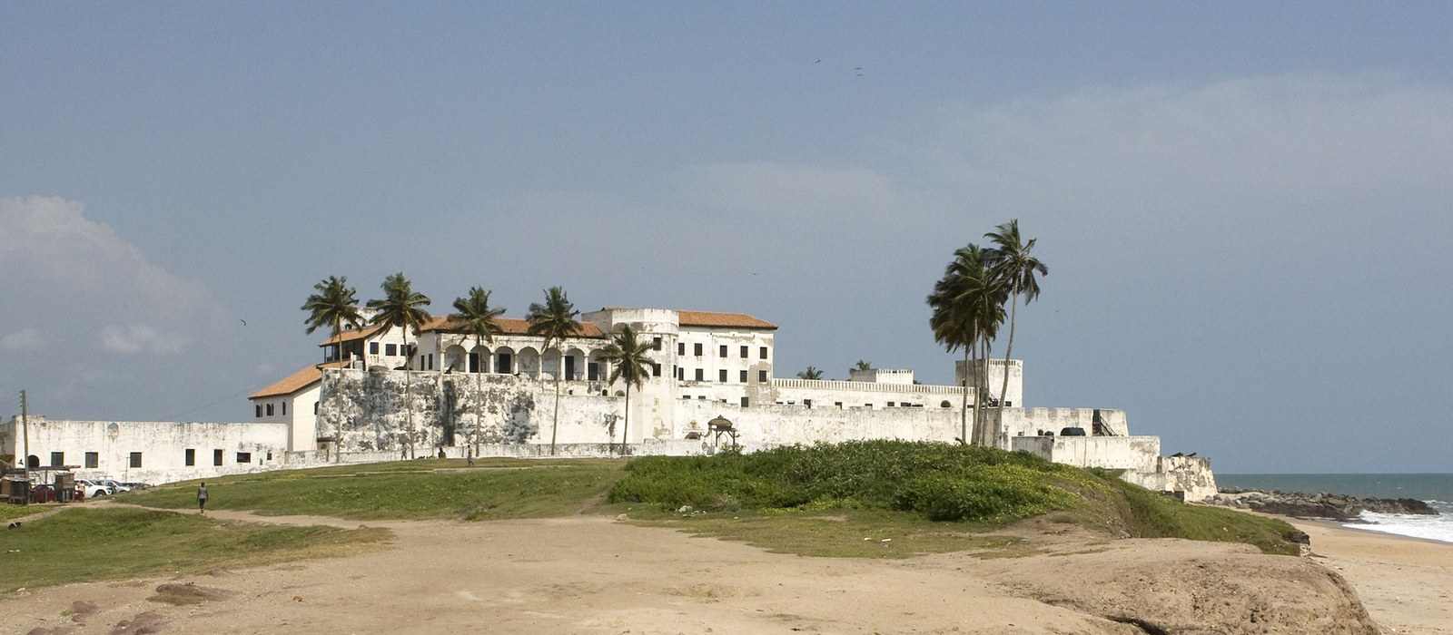 historic coastal fort palm trees