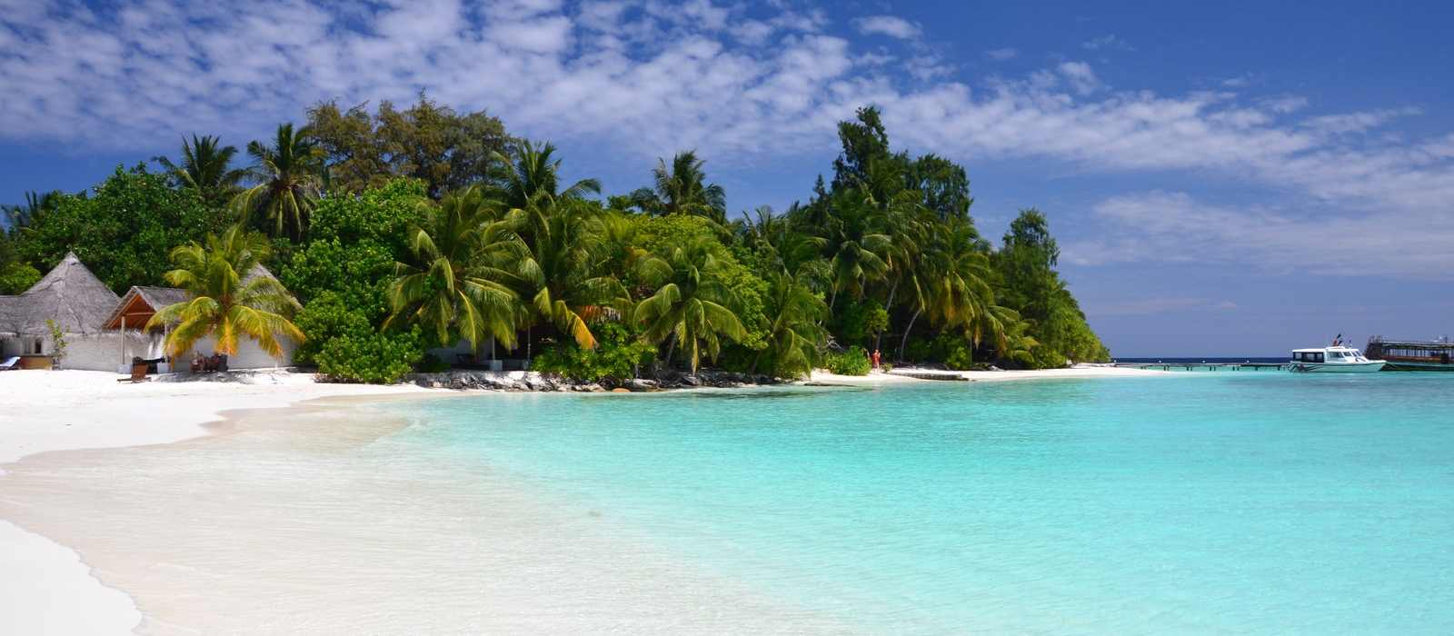 tropical island beach coastline ocean