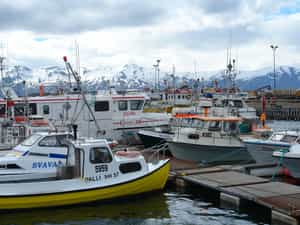 Cruise Day 7 Husavik Iceland