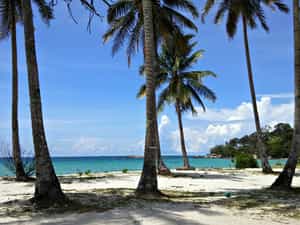 Cruise Day 2 Bintan Indonesia