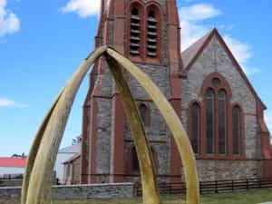 Cruise Day 4 Stanley Falkland Islands