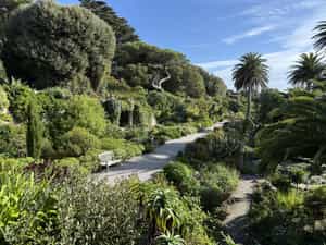 Cruise Day 9 Tresco United Kingdom