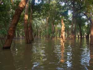 Cruise Day 13 Tonle Sap Lake Cambodia