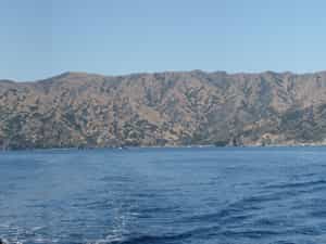 Cruise Day 2 Catalina Island United States