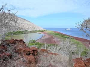 Cruise Day 2 Rabida Island Galapagos