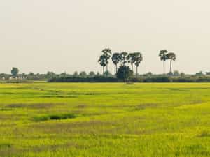 Cruise Day 8 Koh Chen Cambodia