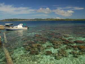 Cruise Day 27 Gizo Solomon Islands