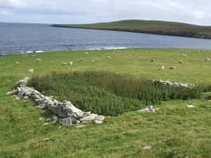 Cruise Day 10 Isle of Noss United Kingdom