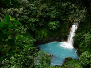 Cruise Day 5 Tortuga Island Costa Rica Costa Rica