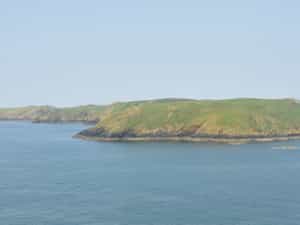 Cruise Day 7 Skomer Island United Kingdom