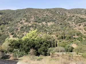 Cruise Day 9 Kythira Island Greece