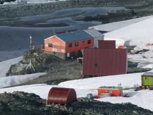 Cruise Day 8 South Shetland Islands