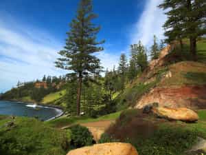 Cruise Day 4 Norfolk Island Australia