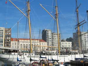 Cruise Day 10 Ostend Belgium