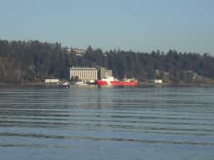 Cruise Day 24 Nanaimo Canada