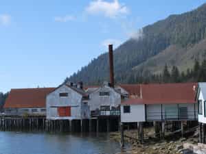 Cruise Day 6 Prince Rupert Canada