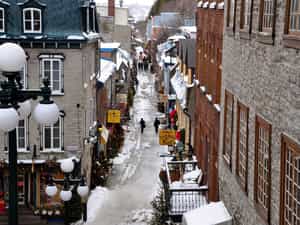 Cruise Day 31 Québec Canada
