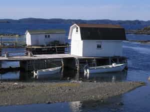 Cruise Day 12 Twillingate Canada