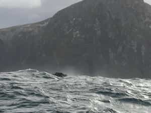 Cruise Day 69 Cape Horn Chile