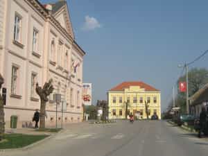 Cruise Day 10 Ilok Croatia